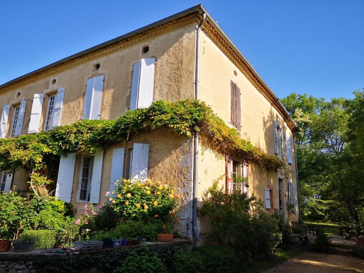Mule Bed and Breakfast Lagardere Eksteriør billede